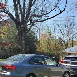 Passaic River - Little Falls