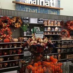 The Falls Shopping Center - Little Falls