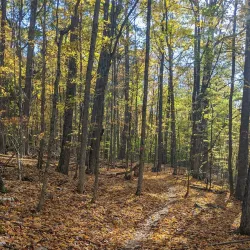 The Little Falls Community Center - Little Falls