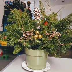 Van Houten Gardens - Little Falls