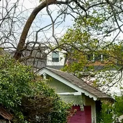 Long Branch Historical Museum - Long Branch