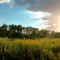 Big Brook Park - Manalapan Township