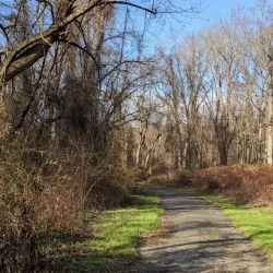 Big Brook Park - Manalapan Township