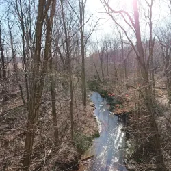 Big Brook Park - Manalapan Township