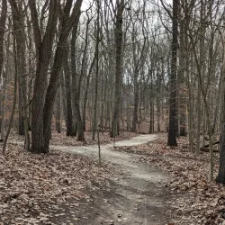 Big Brook Park - Manalapan Township