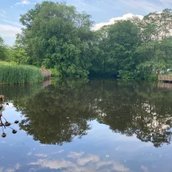 Big Brook Park - Manalapan Township