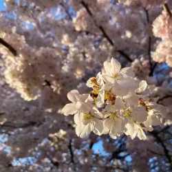 Manalapan Veterans Memorial Park - Manalapan Township
