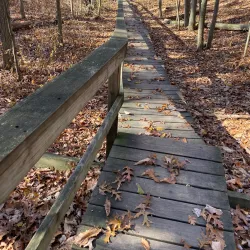 Cheesequake State Park (nearby) - Middlesex