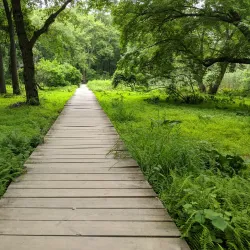 Cheesequake State Park (nearby) - Middlesex