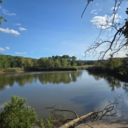 Cheesequake State Park (nearby) - Middlesex