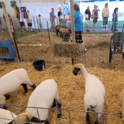 Middlesex County Fairgrounds - Middlesex