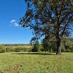 Monmouth Battlefield State Park - Middletown