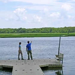 Maurice River Wildlife Management Area - Millville