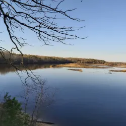 Maurice River Wildlife Management Area - Millville