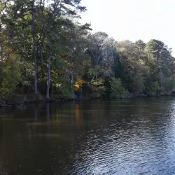 Maurice River Wildlife Management Area - Millville