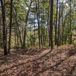 Maurice River Wildlife Management Area - Millville