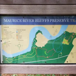 Maurice River Wildlife Management Area - Millville
