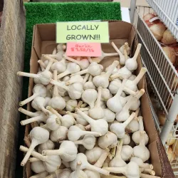 Millville Farmers Market - Millville