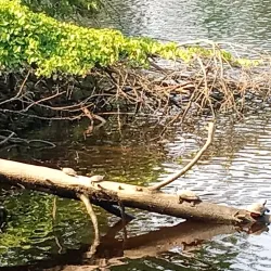 Millville Riverfront Park - Millville