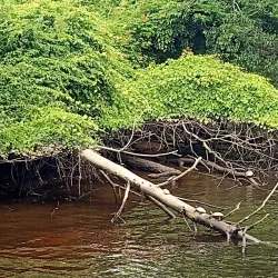 Millville Riverfront Park - Millville