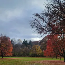 Brookdale Park - Montclair