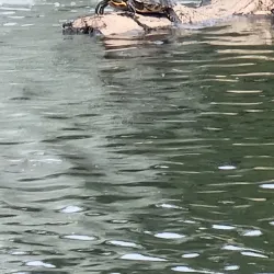 Brookdale Park - Montclair