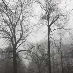 Brookdale Park - Montclair