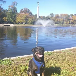 Edgemont Memorial Park - Montclair