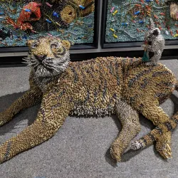 Montclair Art Museum - Montclair