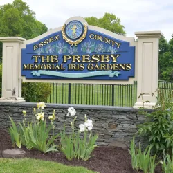 Presby Memorial Iris Gardens - Montclair