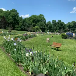 Presby Memorial Iris Gardens - Montclair