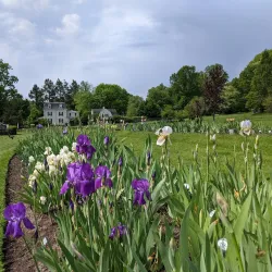 Presby Memorial Iris Gardens - Montclair