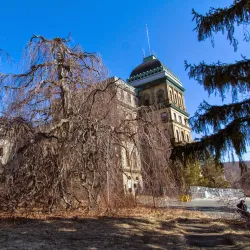 Greystone Park - Morristown