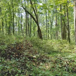 Jockey Hollow - Morristown