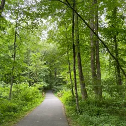 Loantaka Brook Reservation - Morristown