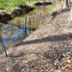 Loantaka Brook Reservation - Morristown