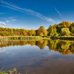 Loantaka Brook Reservation - Morristown