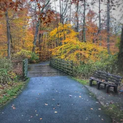 Loantaka Brook Reservation - Morristown