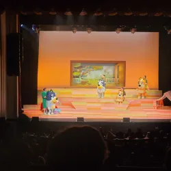 Mayo Performing Arts Center - Morristown