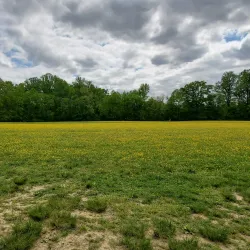 Freedom Park - Mount Laurel