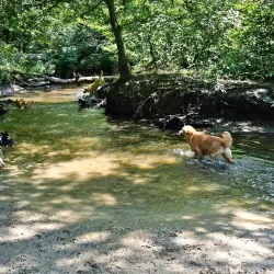 Freedom Park - Mount Laurel