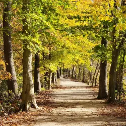 Historic Smithville Park - Mount Laurel