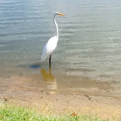 Laurel Acres Park - Mount Laurel