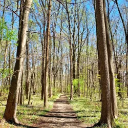 Laurel Acres Park - Mount Laurel