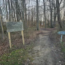 Laurel Acres Park - Mount Laurel