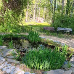 Rancocas Nature Center - Mount Laurel