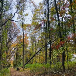 Rancocas Nature Center - Mount Laurel