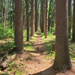 Rancocas Nature Center - Mount Laurel