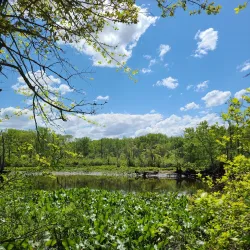 Rancocas Nature Center - Mount Laurel