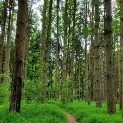Rancocas Nature Center - Mount Laurel